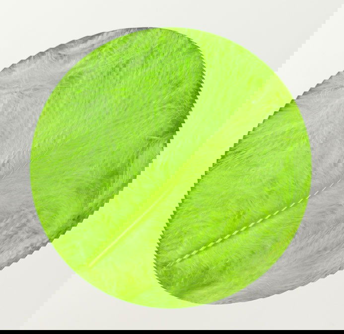 Decoratieveren Lime - Kadopapier.net