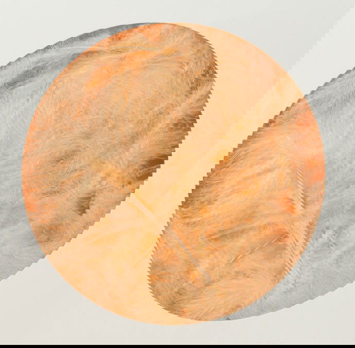 Decoratieveren Zalm - Kadopapier.net