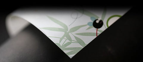 Frog Fun Wrapping Paper – Bouncy and Cheerful