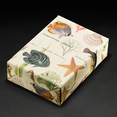 Marine Life Inpakpapier – Onderwater Avontuur