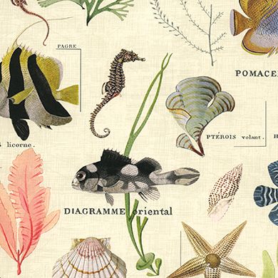 Marine Life Inpakpapier