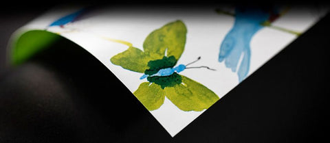 Birds &amp; Blooms Wrapping Paper – Cheerful and Spring-like