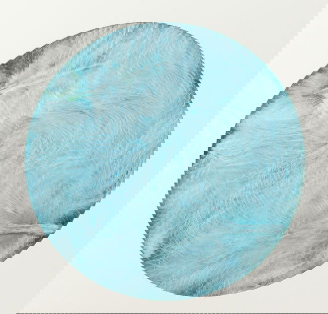 Decoratieveren Lichtblauw - Kadopapier.net