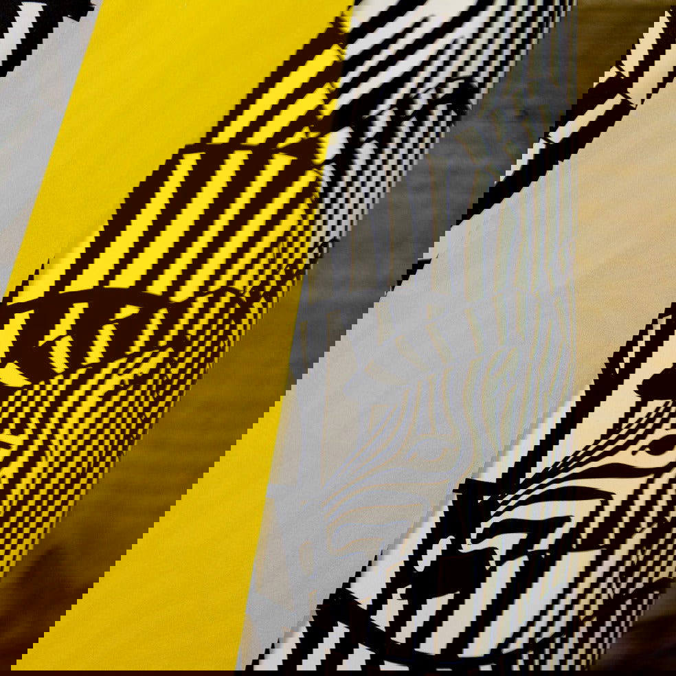 Inpakpapier Zebra - Kadopapier.net