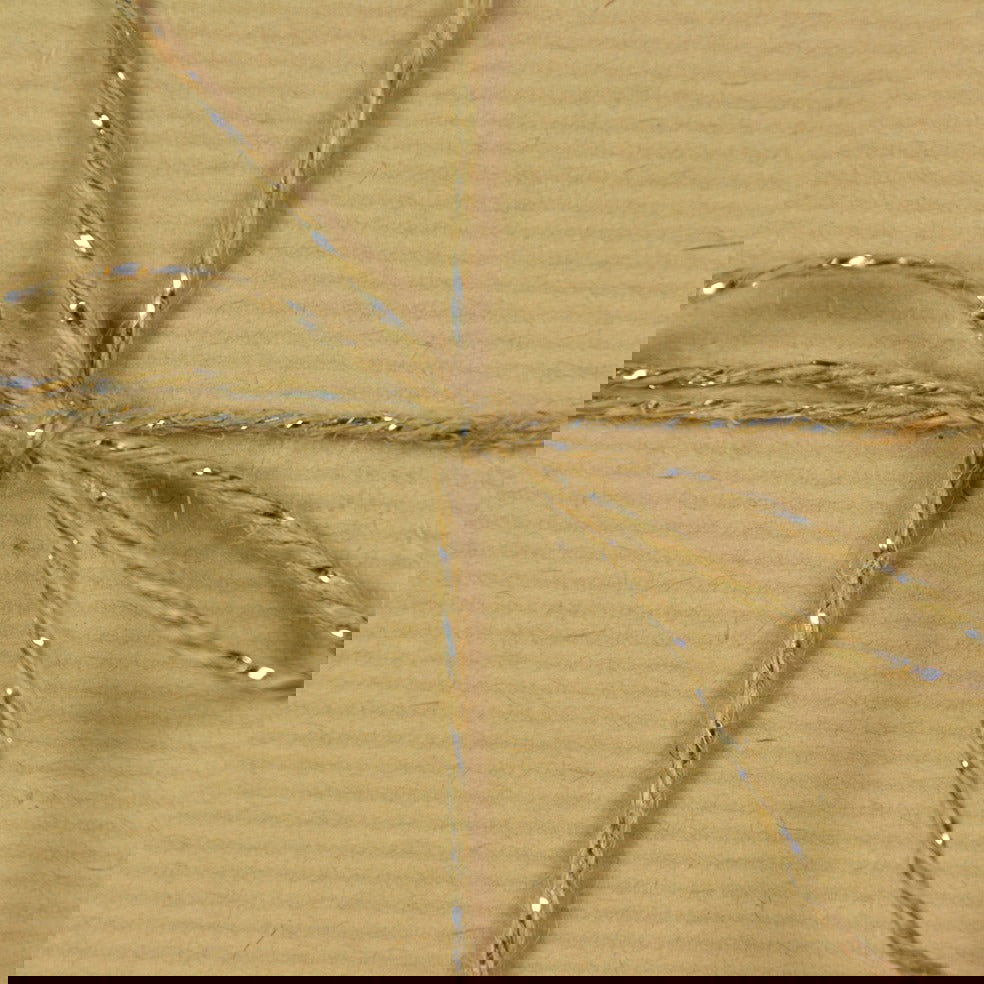 Jutetouw Hoogglans Zilverdraad - Kadopapier.net