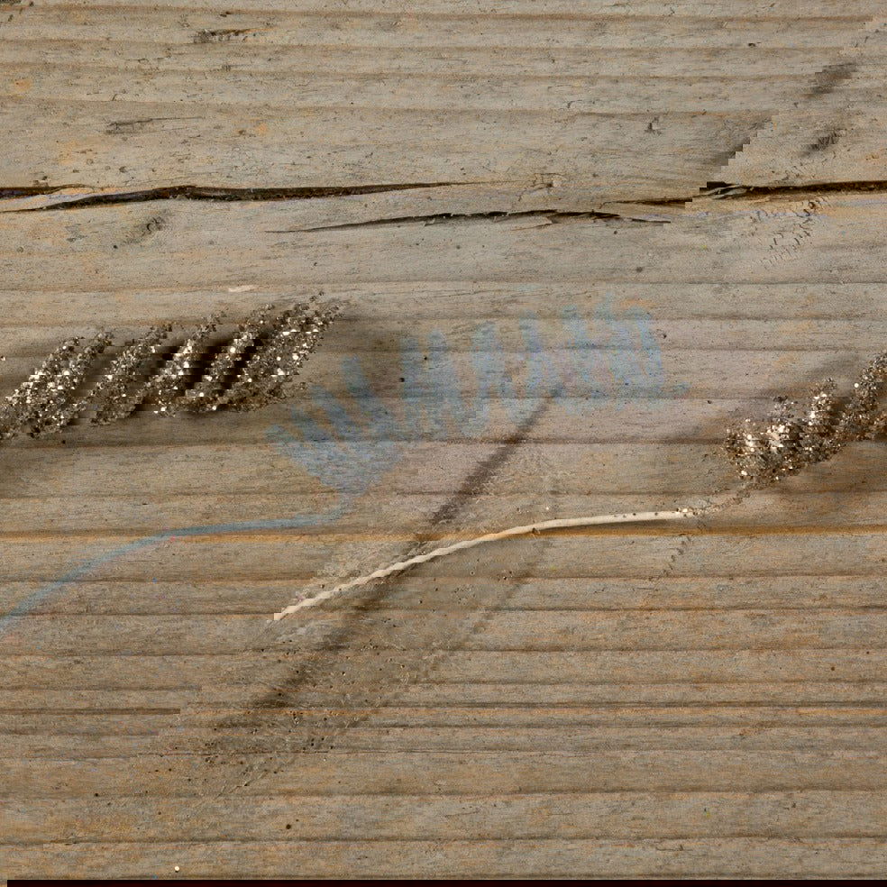 Kadodecoratie Curlpins Zilver - Kadopapier.net