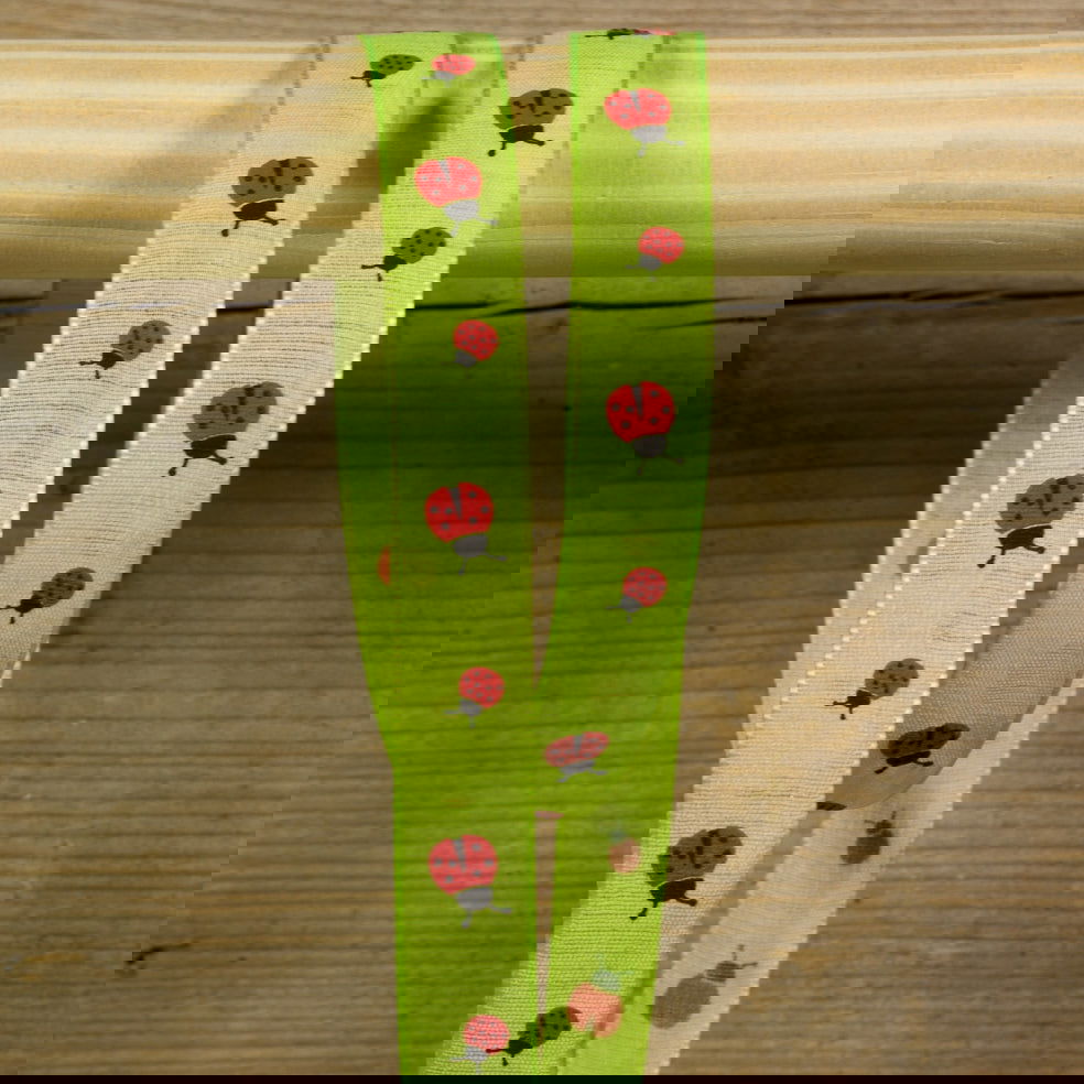 Paaslint Ladybird Lime - Kadopapier.net