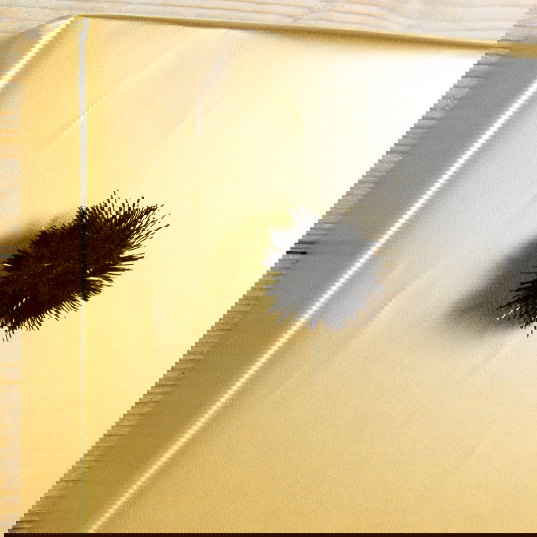 Pom Pon met plakker Zwart - Kadopapier.net